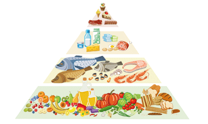 La funzione dell’alimentazione
